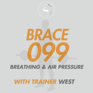 Brace 099 Online