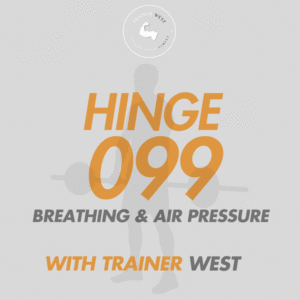 Hinge 099 In Person